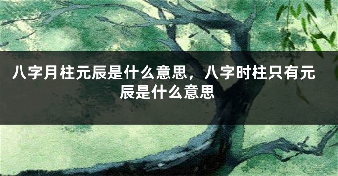 八字月柱元辰是什么意思，八字时柱只有元辰是什么意思