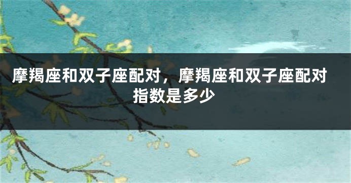 摩羯座和双子座配对，摩羯座和双子座配对指数是多少