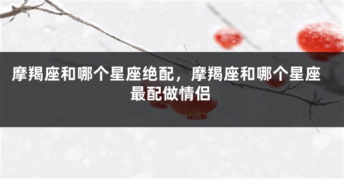 摩羯座和哪个星座绝配，摩羯座和哪个星座最配做情侣