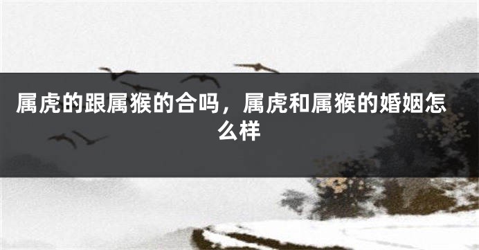 属虎的跟属猴的合吗，属虎和属猴的婚姻怎么样