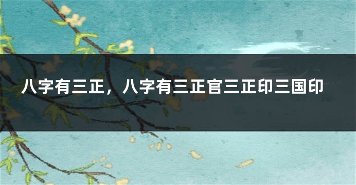 八字有三正，八字有三正官三正印三国印