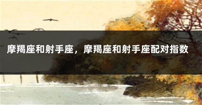 摩羯座和射手座，摩羯座和射手座配对指数