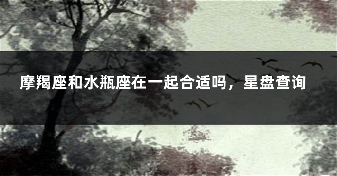 摩羯座和水瓶座在一起合适吗，星盘查询