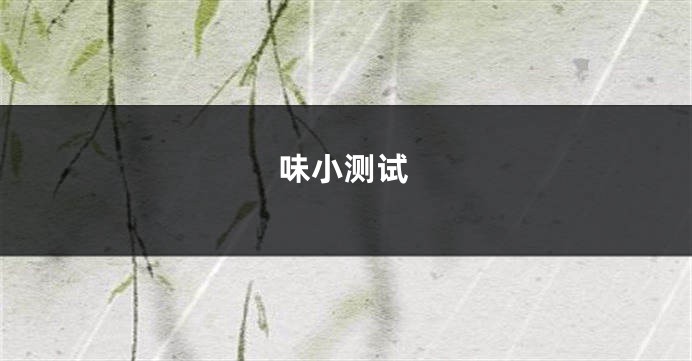 味小测试