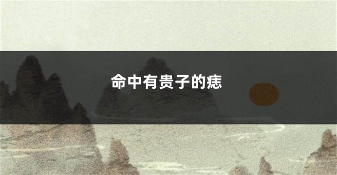 命中有贵子的痣