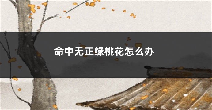命中无正缘桃花怎么办