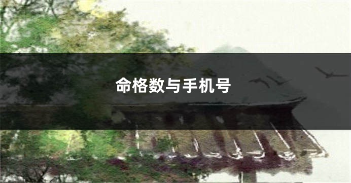 命格数与手机号