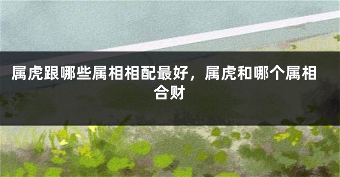 属虎跟哪些属相相配最好，属虎和哪个属相合财