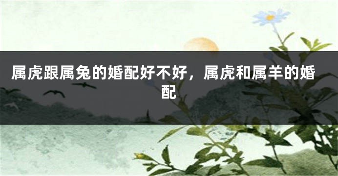 属虎跟属兔的婚配好不好，属虎和属羊的婚配