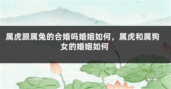 属虎跟属兔的合婚吗婚姻如何，属虎和属狗女的婚姻如何