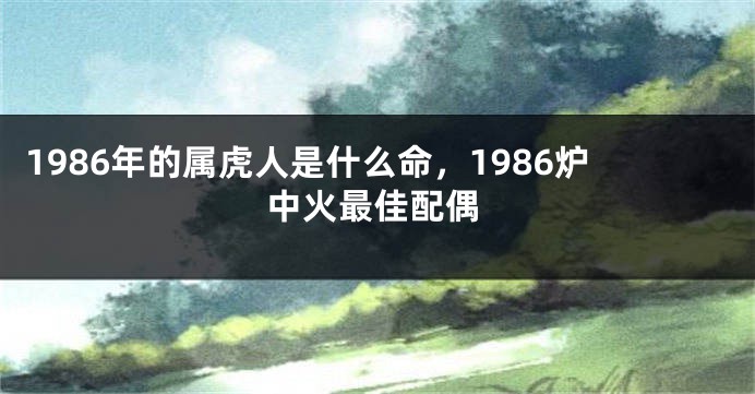 1986年的属虎人是什么命，1986炉中火最佳配偶