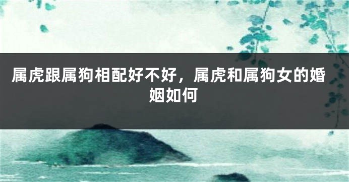 属虎跟属狗相配好不好，属虎和属狗女的婚姻如何