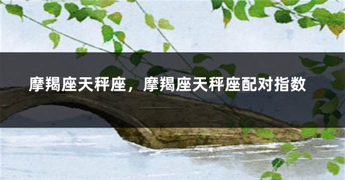摩羯座天秤座，摩羯座天秤座配对指数