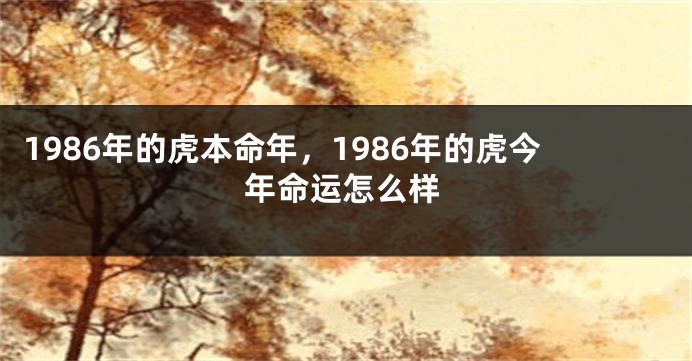 1986年的虎本命年，1986年的虎今年命运怎么样