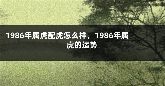 1986年属虎配虎怎么样，1986年属虎的运势