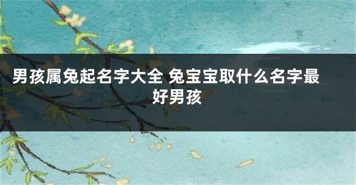 男孩属兔起名字大全 兔宝宝取什么名字最好男孩