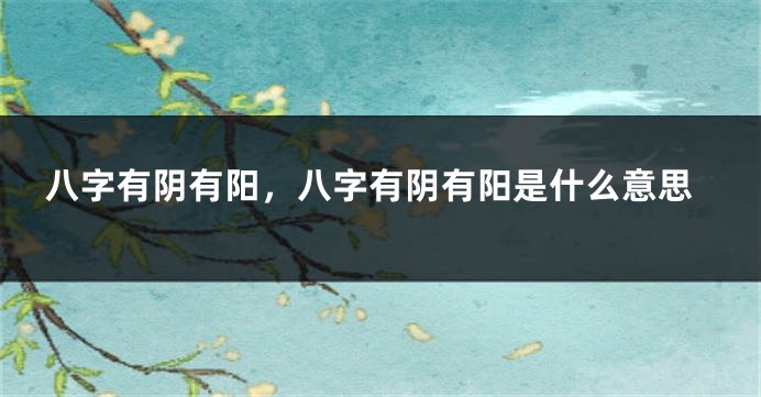 八字有阴有阳,八字有阴有阳是什么意思
