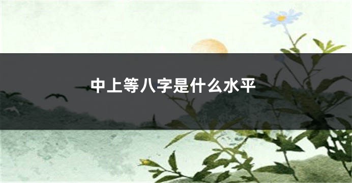 中上等八字是什么水平