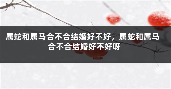 属蛇和属马合不合结婚好不好，属蛇和属马合不合结婚好不好呀