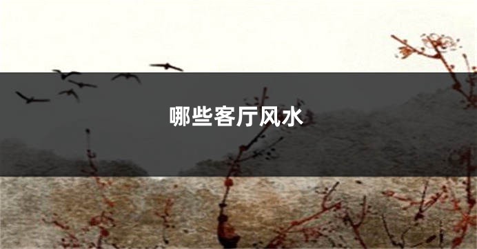 哪些客厅风水