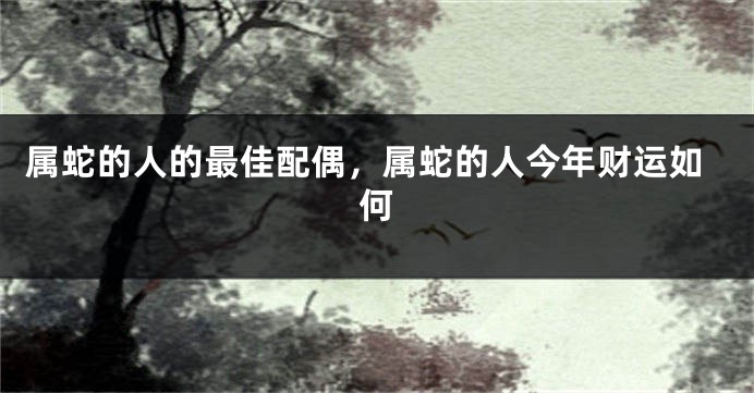 属蛇的人的最佳配偶，属蛇的人今年财运如何
