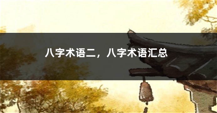 八字术语二，八字术语汇总