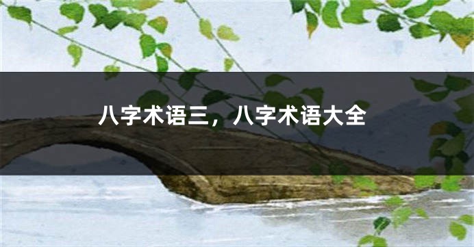 八字术语三，八字术语大全