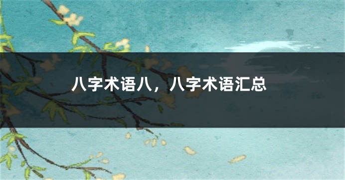 八字术语八，八字术语汇总