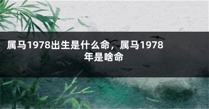 属马1978出生是什么命，属马1978年是啥命