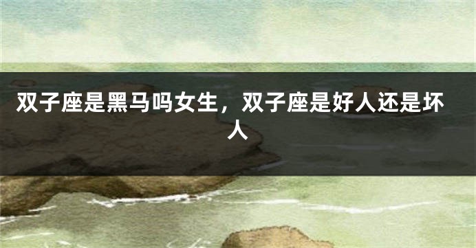 双子座是黑马吗女生，双子座是好人还是坏人