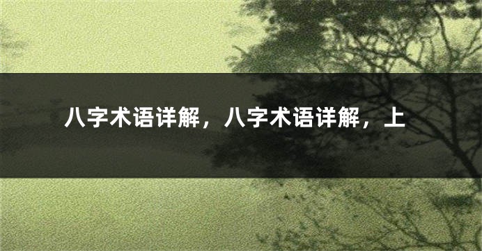 八字术语详解，八字术语详解，上