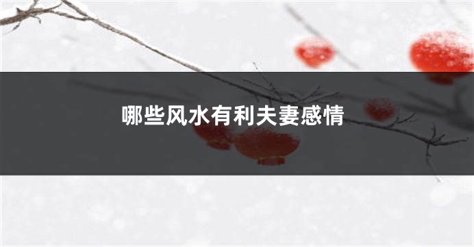 哪些风水有利夫妻感情