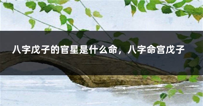 八字戊子的官星是什么命，八字命宫戊子