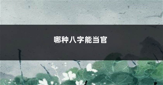 哪种八字能当官