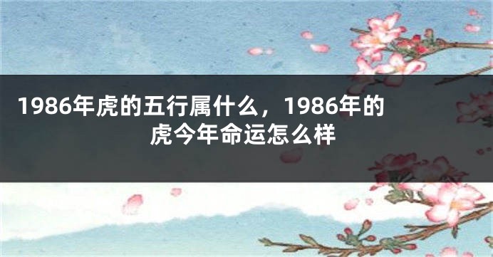 1986年虎的五行属什么，1986年的虎今年命运怎么样