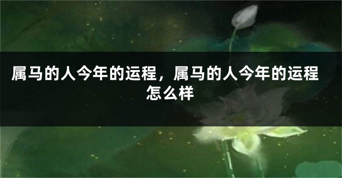 属马的人今年的运程，属马的人今年的运程怎么样