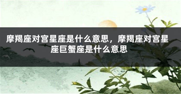 摩羯座对宫星座是什么意思，摩羯座对宫星座巨蟹座是什么意思
