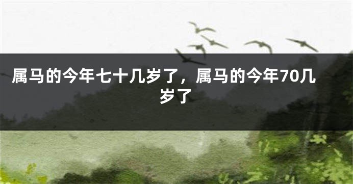 属马的今年七十几岁了，属马的今年70几岁了