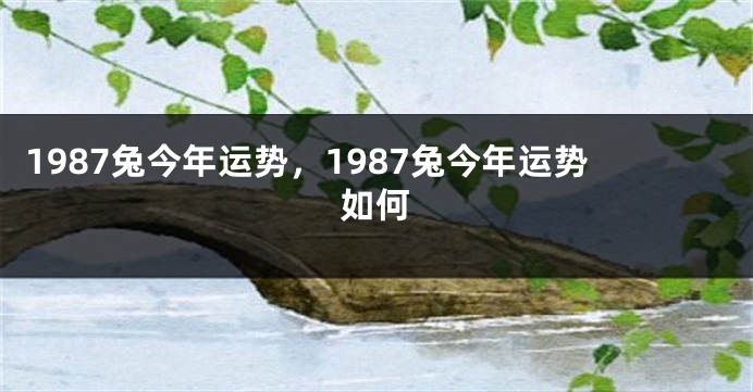 1987兔今年运势，1987兔今年运势如何