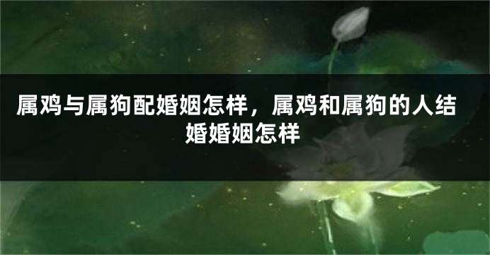 属鸡与属狗配婚姻怎样，属鸡和属狗的人结婚婚姻怎样