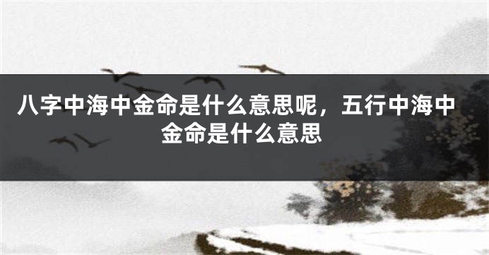 八字中海中金命是什么意思呢，五行中海中金命是什么意思