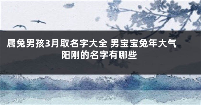 属兔男孩3月取名字大全 男宝宝兔年大气阳刚的名字有哪些