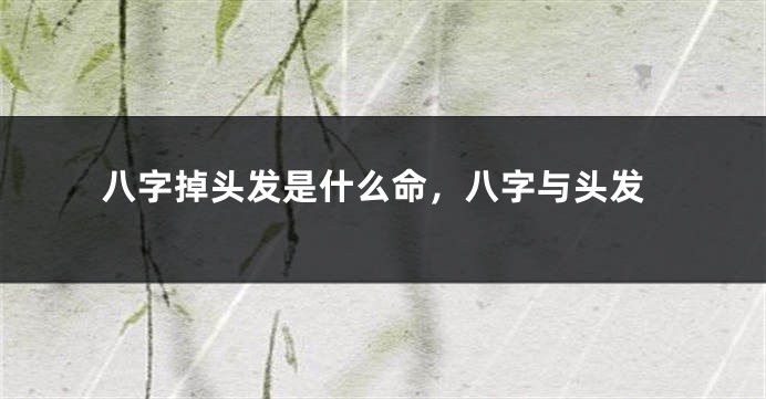 八字掉头发是什么命,八字与头发