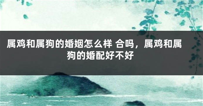 属鸡和属狗的婚姻怎么样 合吗，属鸡和属狗的婚配好不好