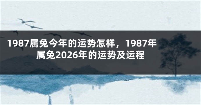 1987属兔今年的运势怎样，1987年属兔2026年的运势及运程