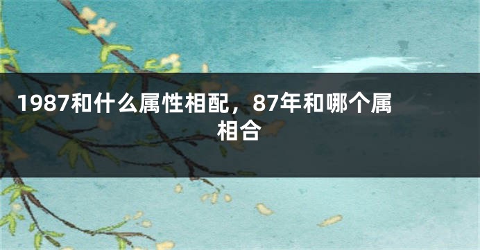 1987和什么属性相配，87年和哪个属相合