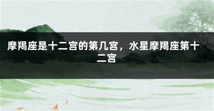 摩羯座是十二宫的第几宫，水星摩羯座第十二宫