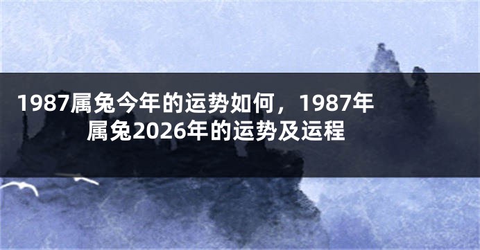 1987属兔今年的运势如何，1987年属兔2026年的运势及运程