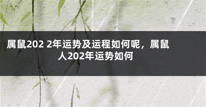 属鼠202 2年运势及运程如何呢，属鼠人202年运势如何