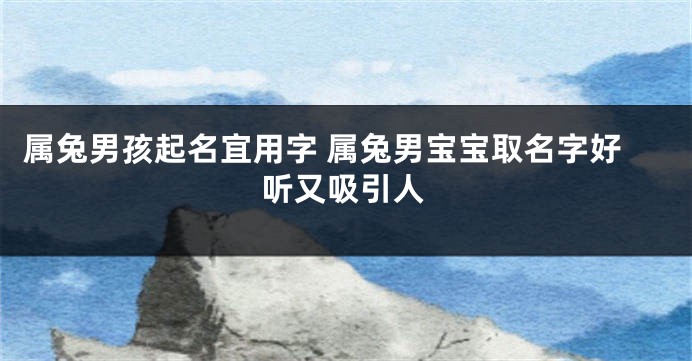属兔男孩起名宜用字 属兔男宝宝取名字好听又吸引人